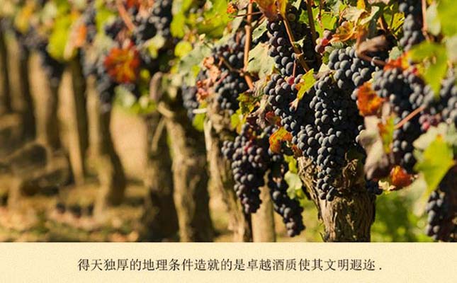 重慶紅酒批發市場 重慶紅酒批發市場