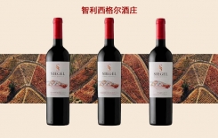 SIEGEL西格爾酒莊赤霞珠佳美娜干紅葡萄酒價(jià)格
