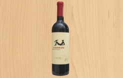 智利赤琥Gandolini價格-甘多利尼紅酒多少錢價格
