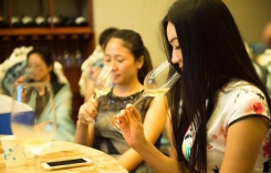 新世界的紅酒國家 新世界的葡萄酒特點 紅酒新世界